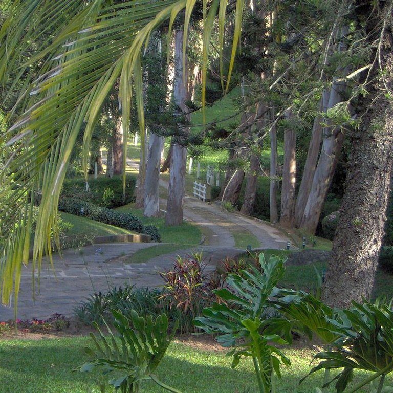 Canto do Bosque - Chalés para casal em Araras